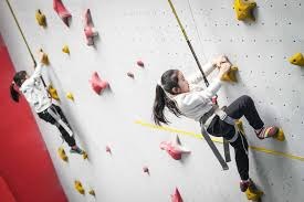 2018 赛季：坦帕湾光芒队发明“Opener（假先发）”战术，引发全联盟战术革命